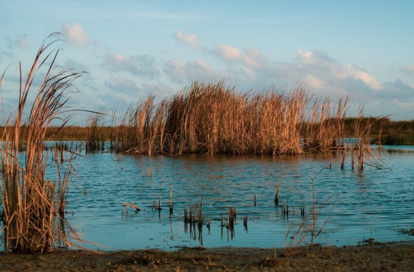  The Beautiful Beaches in Lake Tahoe