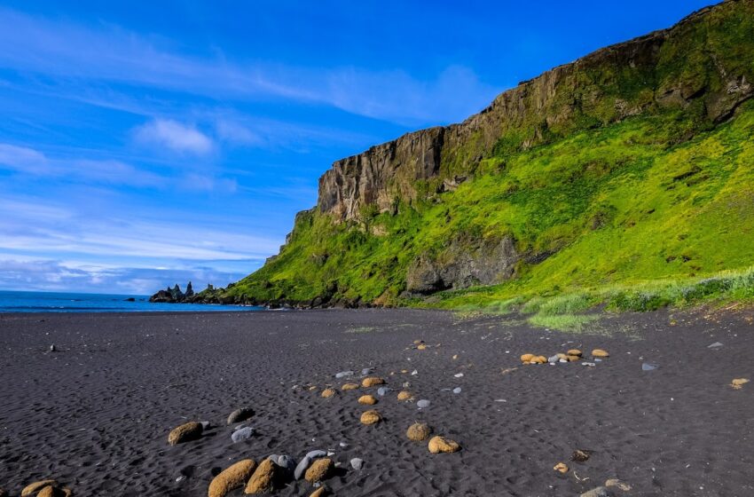  How to Save Money on a Trip to Catalina Island